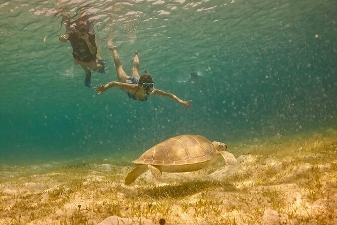 St John -Jeep Ride with A Guide! Customize Itinerary Your Way! - Coral Bay and the quieter side of the island