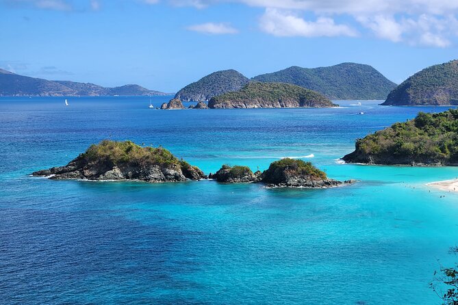 St John -Jeep Ride with A Guide! Customize Itinerary Your Way! - Donkeys, goats, birds, and the island’s natural character