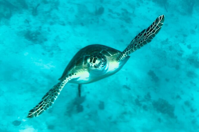 St. John Luxury Catamaran Turtle Snorkel and Cays Full Day - Comfort details that earn their keep