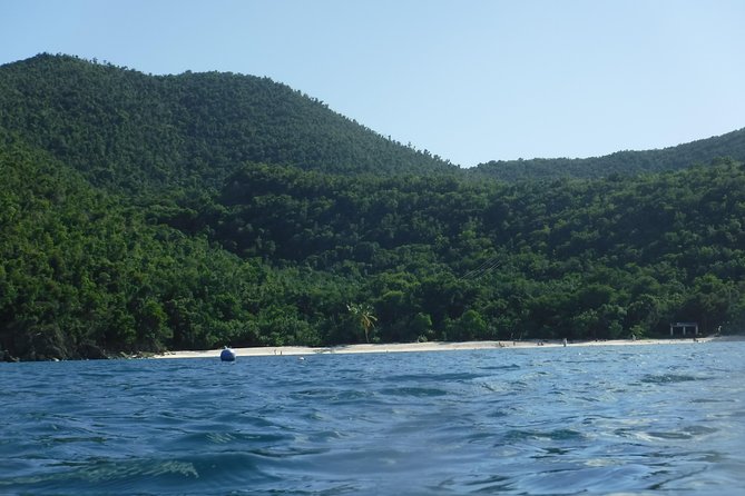 St John & Surrounding Cays - Full-Day Sail/Snorkel, 6 Guests Max - What you may see beneath the surface