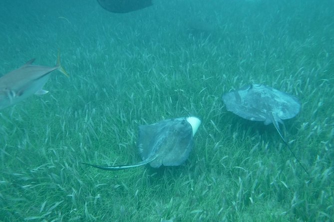 St John & Surrounding Cays - Full-Day Sail/Snorkel, 6 Guests Max - Is $245 a fair price?