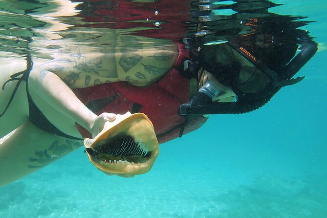 St Thomas Kayak and Sea Turtle Snorkel Excursion - A gentle start for first-time kayakers