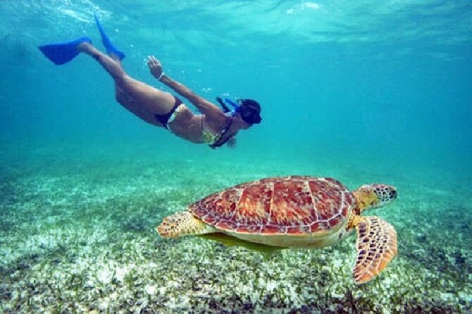 St. Thomas Maho Bay Turtle Snorkel Sail - Ritz-Carlton - Picnic lunch between the two snorkel stops
