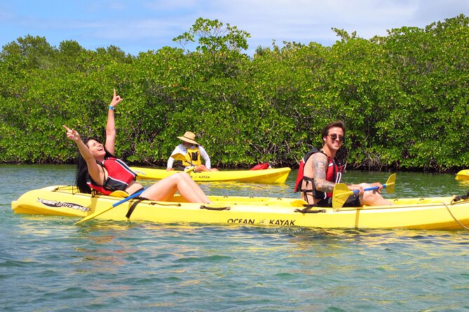 St Thomas Mangrove Lagoon Kayak and Snorkel Tour in the US Virgin Islands - The paddle through Patricia Cay and Long Point