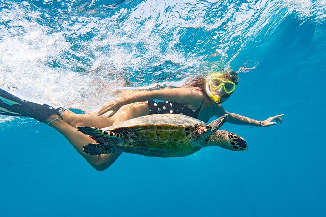St Thomas Mangrove Lagoon Kayak and Snorkel Tour in the US Virgin Islands - The guides make this more than equipment rental