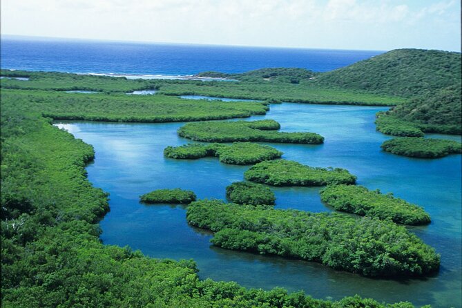St Thomas Mangrove Lagoon Kayak and Snorkel Tour in the US Virgin Islands - How hard is the tour?