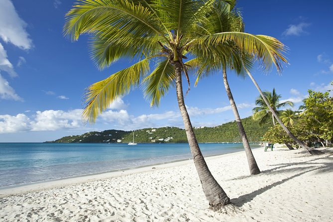 St Thomas Private Group Tour (11 or more ppl) - A private St. Thomas day built around your group
