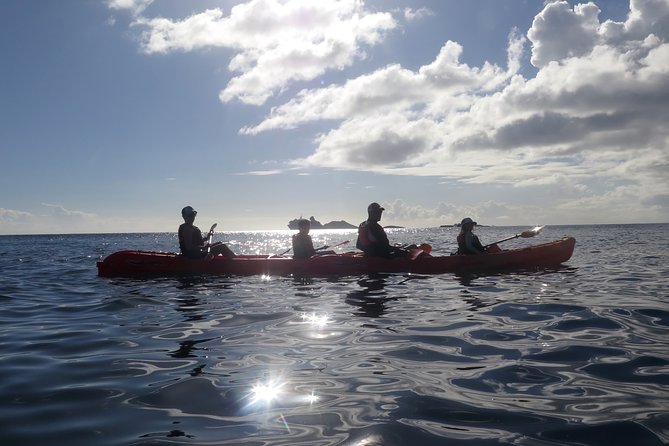 St Thomas Sea Turtle Snorkel Kayak Adventure Tour - Why this St. Thomas tour works so well