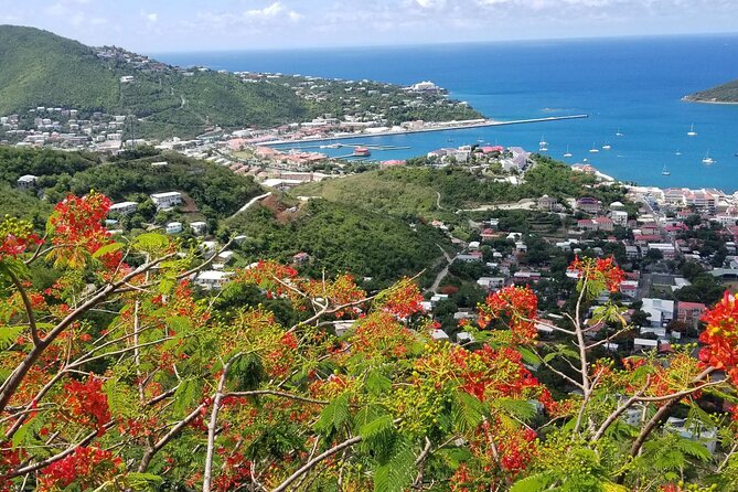 St. Thomas Shopping And Sightseeing Tour - Key points to know before booking