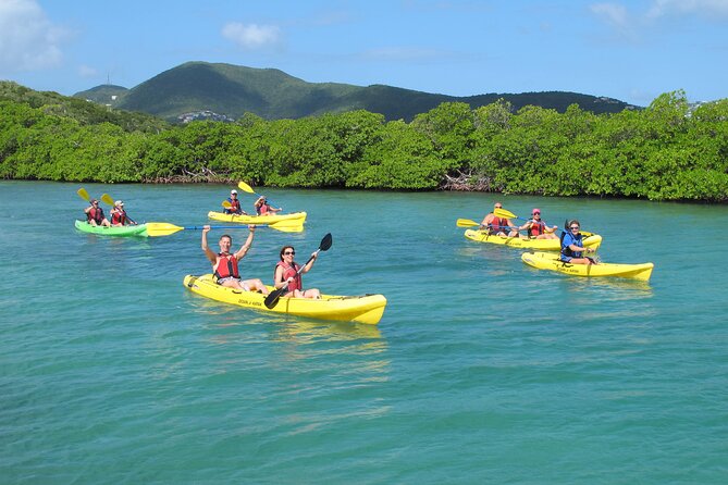 St Thomas Shore Excursion: Mangrove Lagoon Kayak and Snorkel Tour - Key points at a glance