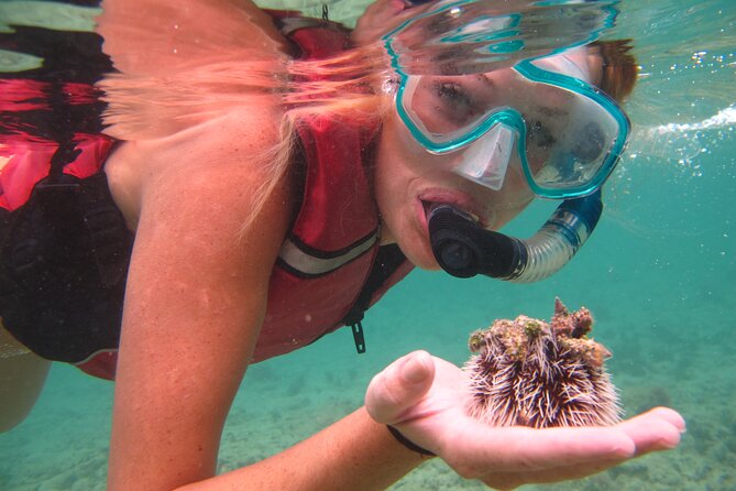 St Thomas Shore Excursion: Mangrove Lagoon Kayak and Snorkel Tour - Getting from the cruise port to the lagoon