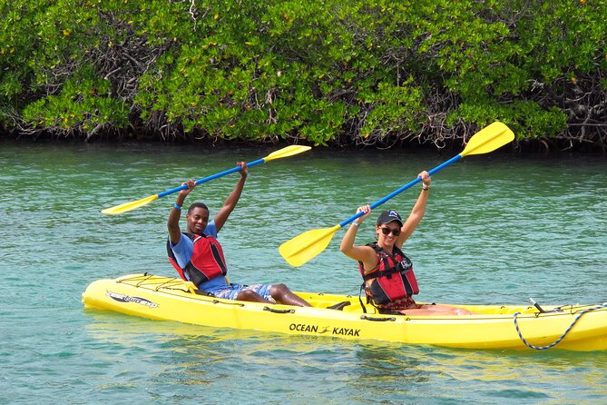 St Thomas Shore Excursion: Mangrove Lagoon Kayak and Snorkel Tour - Timing, group size, and physical effort