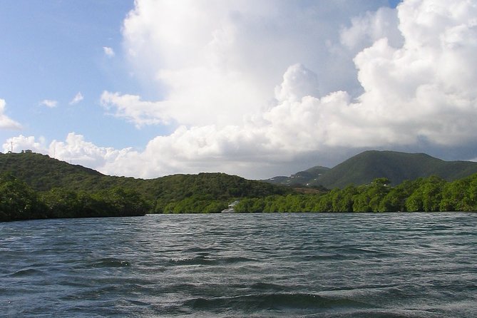 Stand Up Paddleboard Rental in St Thomas - Is $69 a Good Price?