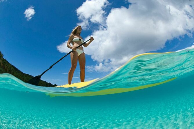 Stand Up Paddleboard Rental in St Thomas - Mangrove Lagoon and the Quiet Side of the Island