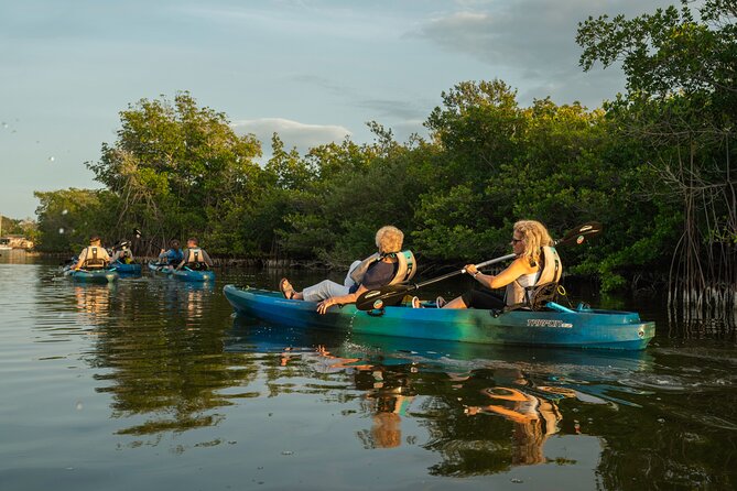 Sunset Kayak Tour in the Mangrove Lagoon, St Thomas - Why St. Thomas’ Mangrove Lagoon is worth your time