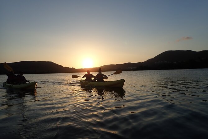 Sunset Kayak Tour in the Mangrove Lagoon, St Thomas - Through the mangrove channels toward Bird Island