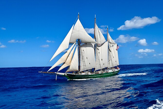 Sunset Sail Aboard the Tall Ship Denis Sullivan - Key points to know before boarding