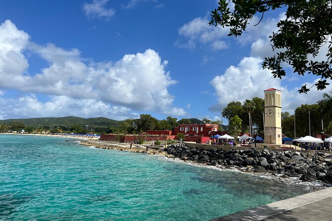 The Frederiksted St. Croix Sea Turtles Snorkeling Tour - What the guide and gear add