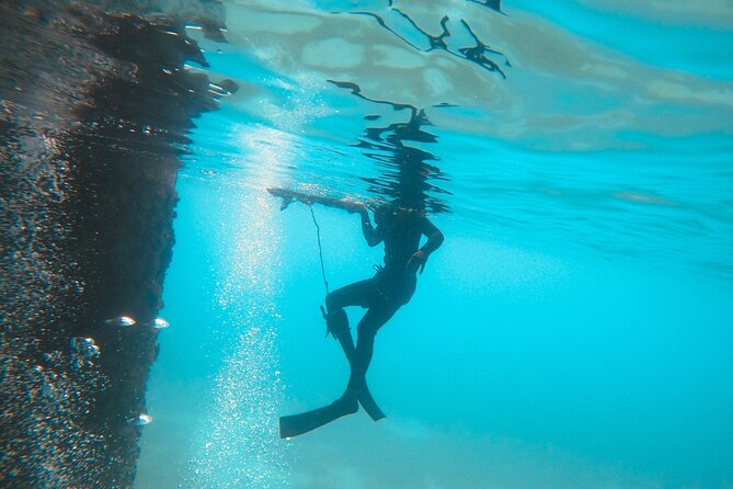 The Frederiksted St. Croix Sea Turtles Snorkeling Tour - How the 75-minute schedule affects your day
