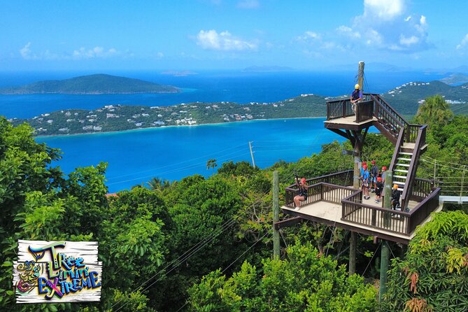 Tree Limin' Extreme Zipline - Key Points Before You Book