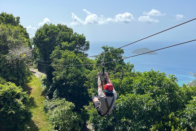 Tree Limin' Extreme Zipline - Six Flights Through the Forest