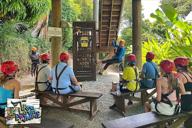 Tree Limin' Extreme Zipline - The Truck Ride to the Mountain Top
