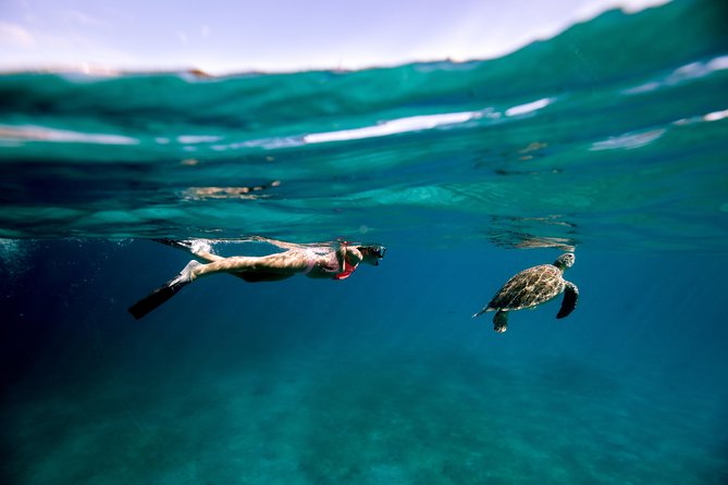 Turtle Cove Catamaran Snorkel and Sail at Little Buck Island STT - Key points to know before you sail