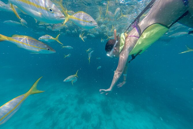 Turtle Snorkel Sail on Buck Island from Frenchman's Reef - Starting at Frenchman’s Reef at 10 a.m.