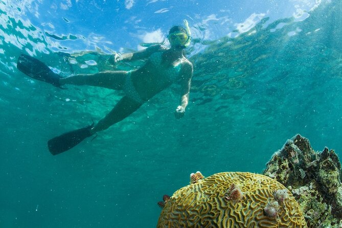 Turtle Snorkel Sail on Buck Island from Frenchman's Reef - What the $129 price really covers