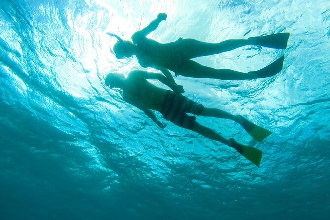 Turtle Snorkel Sail on Buck Island from Frenchman's Reef - The main risk: conditions and cancellations