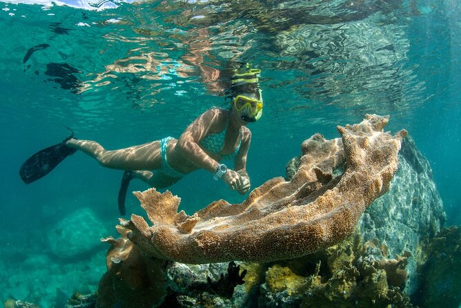 Turtle Snorkel Sail on Buck Island from Frenchman's Reef - Who will enjoy this St. Thomas outing?