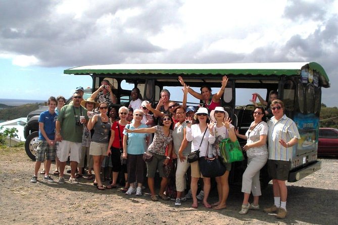 Two-Hour Sightseeing Excursion - Valdemar A. Hill and Charlotte Amalie Below