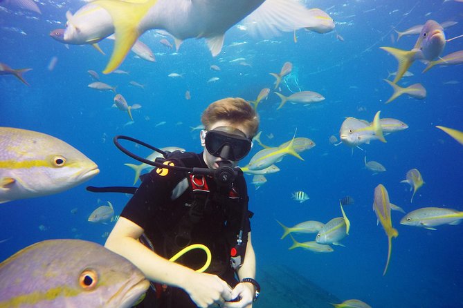 Two-Tank Dive for Certified Diving in St Thomas - The surface interval and second site