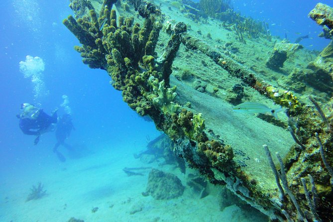 Two-Tank Dive for Certified Diving in St Thomas - The ride back and the island-style finish