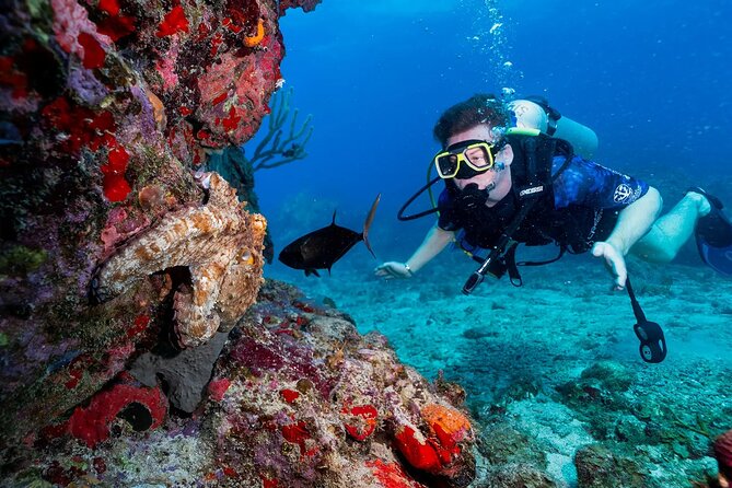 Two-Tank Morning Dive Trip for Certified Divers - Between the two tanks