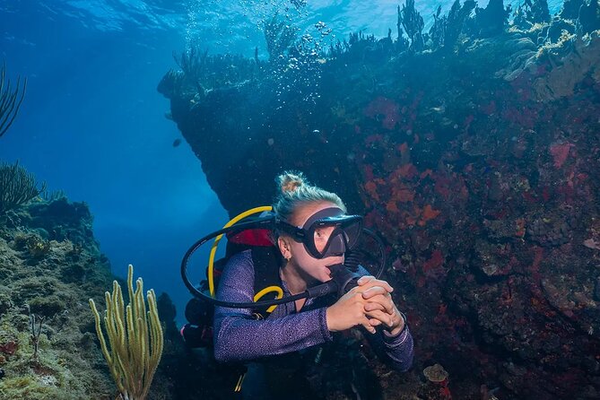 Two-Tank Morning Dive Trip for Certified Divers - What the $180 price includes