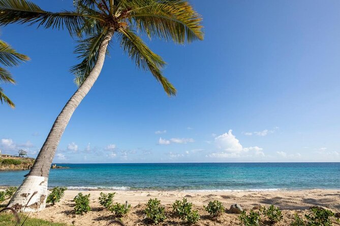 Vi Top Taxi & Tours -Airport Transfer to Bolongo Bay/ Limetree - Why air conditioning and bottled water matter