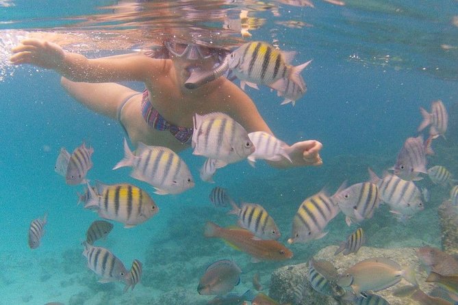 Vi Top Taxi &Tours USVI-Coki Beach Snorkeling Tour - Why this private St. Thomas ride is useful