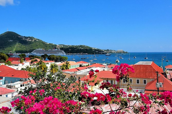 Vi Top Taxi &Tours USVI-St Thomas Private Group-Island Tour - The driver can make or break the day